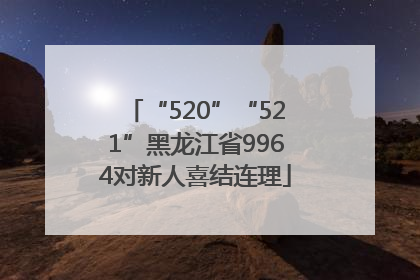 “520”“521”黑龙江省9964对新人喜结连理