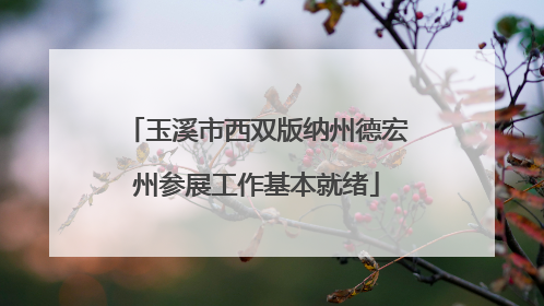 玉溪市西双版纳州德宏州参展工作基本就绪