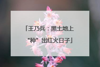 王乃兵：黑土地上“种”出红火日子