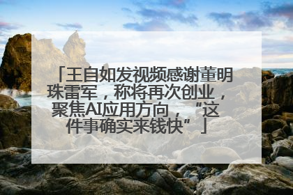 王自如发视频感谢董明珠雷军，称将再次创业，聚焦AI应用方向，“这件事确实来钱快”