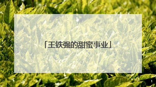 王铁强的甜蜜事业
