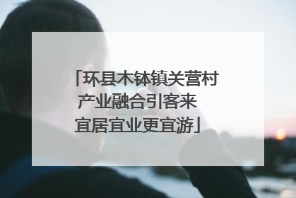 环县木钵镇关营村 产业融合引客来 宜居宜业更宜游