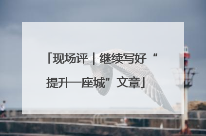 现场评｜继续写好“提升一座城”文章