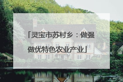 灵宝市苏村乡：做强做优特色农业产业