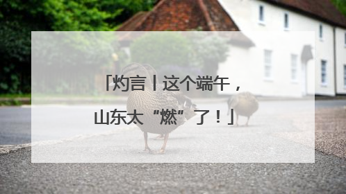 灼言丨这个端午，山东太“燃”了！
