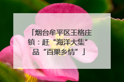 烟台牟平区王格庄镇：赶“海洋大集” 品“百果乡情”