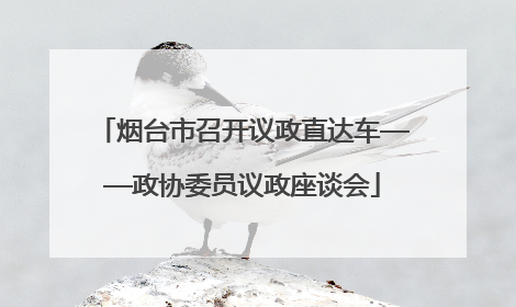 烟台市召开议政直达车——政协委员议政座谈会