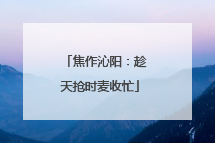 焦作沁阳：趁天抢时麦收忙