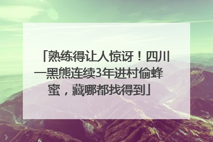 熟练得让人惊讶！四川一黑熊连续3年进村偷蜂蜜，藏哪都找得到