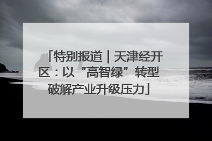 特别报道｜天津经开区：以“高智绿”转型破解产业升级压力