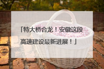 特大桥合龙！安徽这段高速建设最新进展！