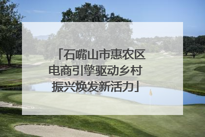 石嘴山市惠农区电商引擎驱动乡村振兴焕发新活力