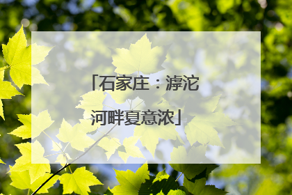 石家庄：滹沱河畔夏意浓