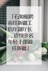 石如根跨省任新疆工信厅副厅长，连续多名年轻干部调任新疆