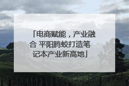 电商赋能，产业融合 平阳腾蛟打造笔记本产业新高地