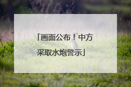 画面公布！中方采取水炮警示