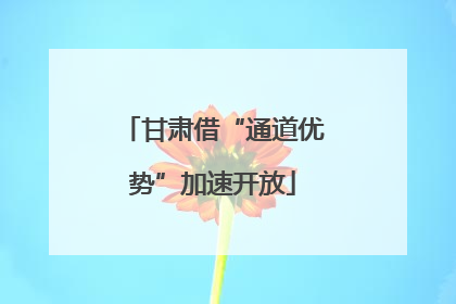 甘肃借“通道优势”加速开放