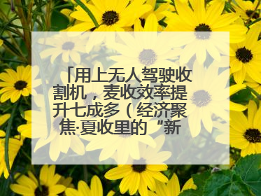 用上无人驾驶收割机，麦收效率提升七成多（经济聚焦·夏收里的“新选手”）