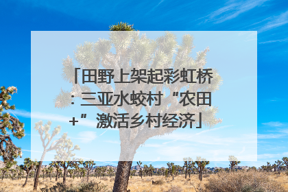 田野上架起彩虹桥：三亚水蛟村“农田+”激活乡村经济