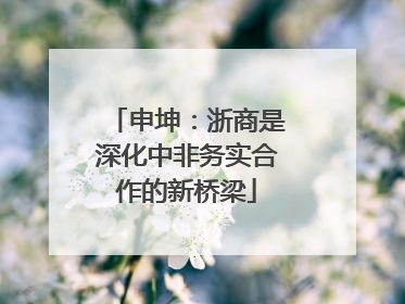 申坤：浙商是深化中非务实合作的新桥梁
