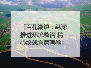 百花湖镇：纵深推进环境整治 精心绘就宜居画卷