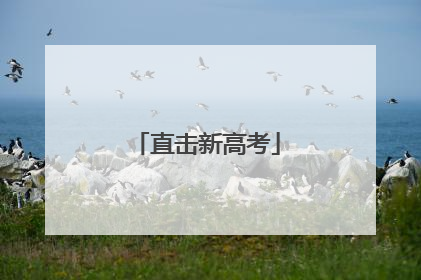 直击新高考