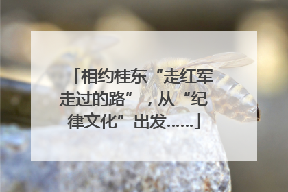 相约桂东“走红军走过的路”，从“纪律文化”出发……