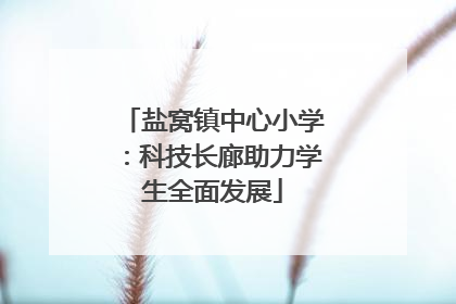 盐窝镇中心小学：科技长廊助力学生全面发展