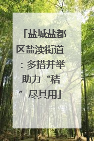 盐城盐都区盐渎街道：多措并举 助力“秸”尽其用