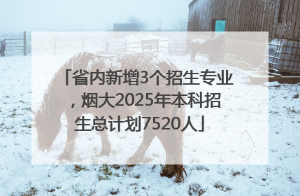 省内新增3个招生专业，烟大2025年本科招生总计划7520人