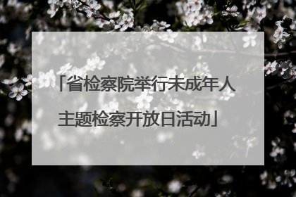 省检察院举行未成年人主题检察开放日活动