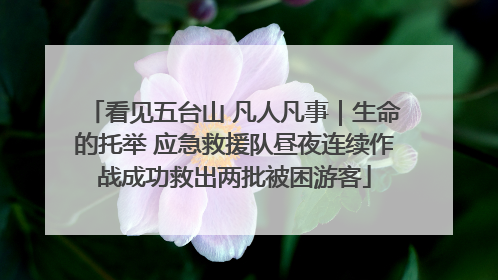 看见五台山 凡人凡事｜生命的托举 应急救援队昼夜连续作战成功救出两批被困游客