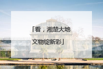 看，湘楚大地文物绽新彩
