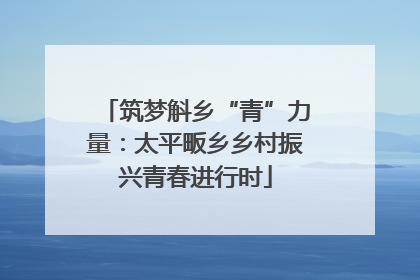 筑梦斛乡“青”力量：太平畈乡乡村振兴青春进行时