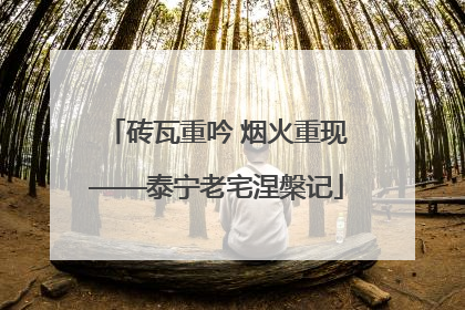 砖瓦重吟 烟火重现——泰宁老宅涅槃记