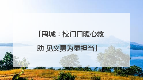 禹城：校门口暖心救助 见义勇为显担当