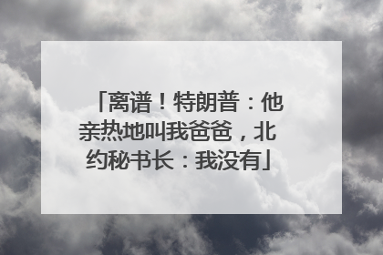 离谱！特朗普：他亲热地叫我爸爸，北约秘书长：我没有