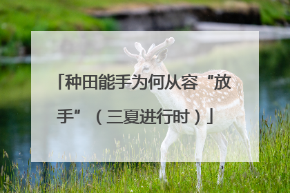 种田能手为何从容“放手”（三夏进行时）