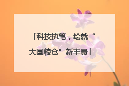 科技执笔，绘就“大国粮仓”新丰景