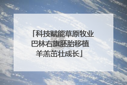 科技赋能草原牧业 巴林右旗胚胎移植羊羔茁壮成长