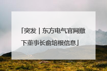 突发｜东方电气官网撤下董事长俞培根信息
