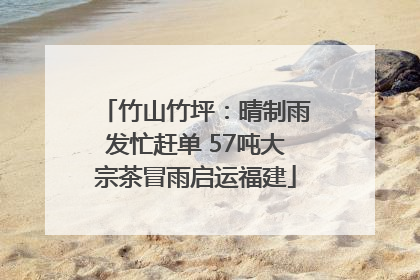 竹山竹坪：晴制雨发忙赶单 57吨大宗茶冒雨启运福建