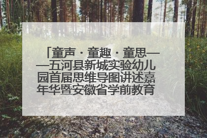 童声・童趣・童思——五河县新城实验幼儿园首届思维导图讲述嘉年华暨安徽省学前教育教研基地园项目阶段性成果展示活动