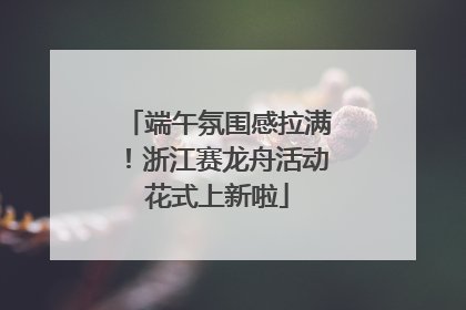 端午氛围感拉满！浙江赛龙舟活动花式上新啦