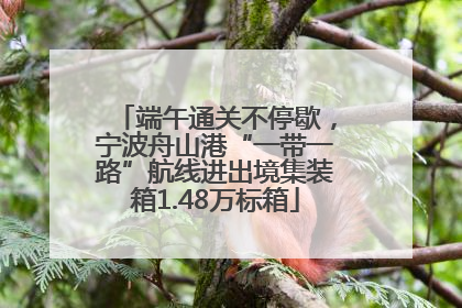 端午通关不停歇，宁波舟山港“一带一路”航线进出境集装箱1.48万标箱