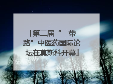 第二届“一带一路”中医药国际论坛在莫斯科开幕