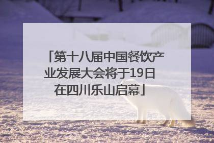 第十八届中国餐饮产业发展大会将于19日在四川乐山启幕