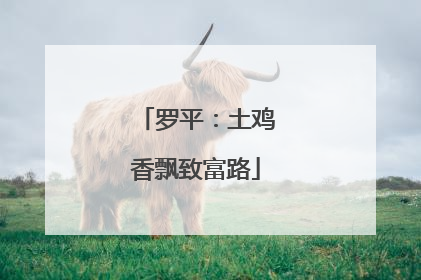 罗平：土鸡香飘致富路