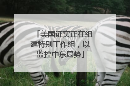 美国证实正在组建特别工作组，以监控中东局势