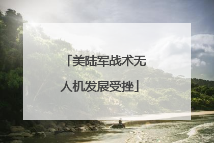 美陆军战术无人机发展受挫